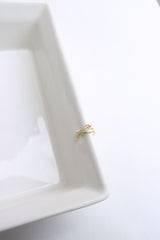 AD X Ear Clip