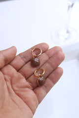 Brown Stone Dual Earrings