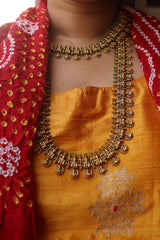 Lakshmi Long Nakshi Set