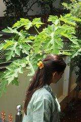 Big Flower Claw Clip