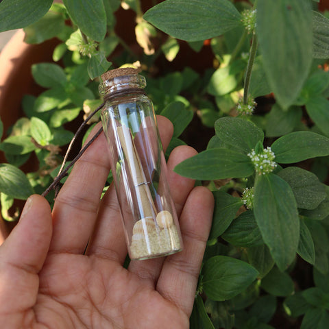 Message in a Bottle